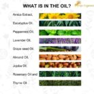 Arnica Pain Relief Massage Oil -Thumbnail2