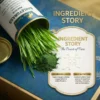 Barley Grass Powder | 100% Natural Superfood | Rich in Chlorophyll, Vitamins & Minerals | Supports Daily Nutrition & Wellness