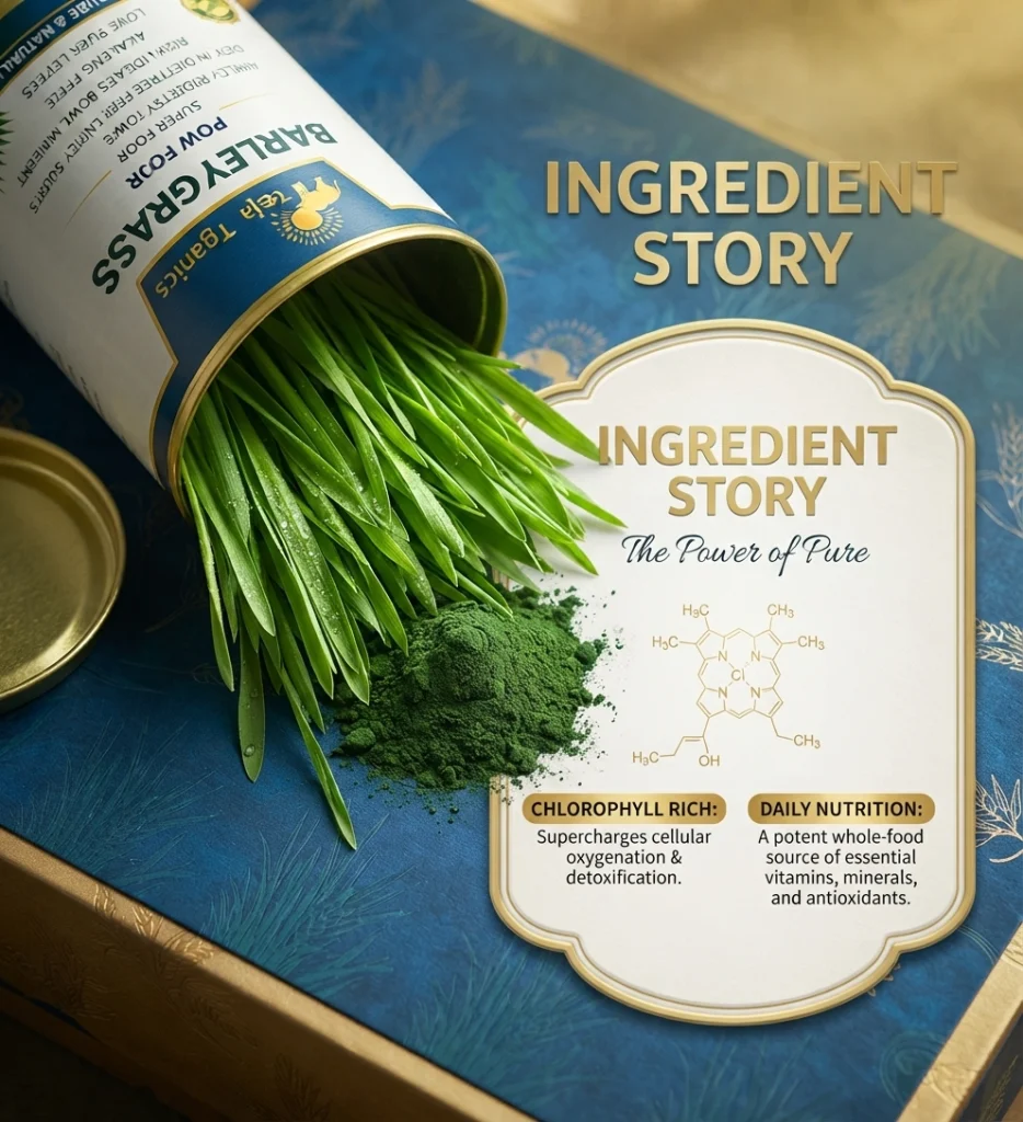 Barley Grass Powder | 100% Natural Superfood | Rich in Chlorophyll, Vitamins & Minerals | Supports Daily Nutrition & Wellness