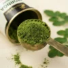 Moringa Powder | Natural Superfood India | Rich in Vitamins, Minerals & Plant Protein | Supports Immunity, Energy & Diabetes Management