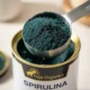 spirulina-powder-gallery1-1784370356653.webp Spirulina Powder | 100% Natural Superfood | High Concentration Of Protien And Chlorophyl | Rich in Plant Protein, Vitamins & Minerals | Supports Daily Nutrition & Wellness