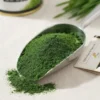 wheat-grass-powder-gallery1-1784370922127.webp Wheat Grass Powder | 100% Natural Superfood | Rich in Chlorophyll, Vitamins & Minerals | Supports Daily Nutrition & Wellness | Herbal Green Powder
