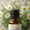 Chamomile Essential Oil 15ml |  Sweet, Floral and Herbaceous scent | Moisturizing | Soothing, Calming and Relaxing | Induces sleep | Eases pains and Ache | Good for sensitive and Dry skin