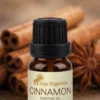 cinnamon-eo-gallery1-candidate-1786015802 Cinnamon Essential Oil 15ml | Sweet, Woody, Spicy and Earthy aroma | Warming, Stimulating, and Energizing | Moisturizing and Nourishing skin | Reduces acne | Lightens dark spots and Brightens the skin | Support scalp stimulation and overall hair health| Aromatherapy