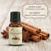cinnamon-eo-gallery2-candidate-1786015805 Cinnamon Essential Oil 15ml | Sweet, Woody, Spicy and Earthy aroma | Warming, Stimulating, and Energizing | Moisturizing and Nourishing skin | Reduces acne | Lightens dark spots and Brightens the skin | Support scalp stimulation and overall hair health| Aromatherapy