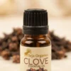 clove-eo-gallery1-candidate-1786015822 Clove Essential Oil 15ml | 100% Pure Natural Oil | Strong Spicy Aroma | Energizing and warming fragrance | Dental Care | Pain Relief Skin & Hair | Aromatherapy | Diffuser | Home wellness products