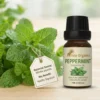 Peppermint Essential Oil 15ml | 100% Pure Natural Oil | Uplifting minty fragrance | Strong Cooling Effect | Provides instant freshness & relief | Energizing and Soothing | Skin care  | Hair care | Steam inhalation | Diffuser | Aromatherapy | Home Wellness Products
