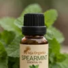 Spearmint Essential Oil 15ml | Fresh, Sweet, Minty, Vibrant, Aroma, Natural cooling |  Provides instant freshness | Skin/Hair care | Aromatherapy