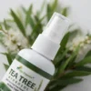 tea-tree-hydrosol-100ml-100-gallery1-candidate-1786022171 Tea Tree Hydrosol 100ml | 100% Pure Floral Water | Facial & Hair Spray | Natrural cleanser for Acne, Pimple-Prone skin | Chemical Free & Alcohol Free