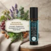 Teja Organics Head Ache Relief Roll-On | Instant Stress & Headache Relief | Natural Essential Oils | Portable Aromatherapy | 10 ml | Compact and Travel Friendly
