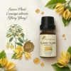 ylang-ylang-essential-oil-15ml-gallery2-src Ylang Ylang Essential Oil 15ml | Sweet, Rich Exotic Deep Floral Scent | Relief from anxiety | Anti- Depressant | Uplifting | Increases Libido | Skin care, Hair care | Aromatherapy