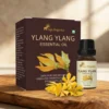 ylang-ylang-essential-oil-15ml-gallery4-src Ylang Ylang Essential Oil 15ml | Sweet, Rich Exotic Deep Floral Scent | Relief from anxiety | Anti- Depressant | Uplifting | Increases Libido | Skin care, Hair care | Aromatherapy